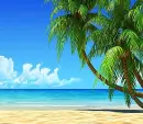 Summer Beach Background