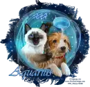 Aquarius 2024