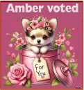 Chihuahua - Amber voted