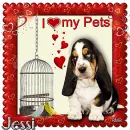 Jessi - by Robbie