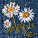 Daisies on denim background