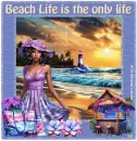 Beach life is th3e only life 