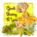 Evening