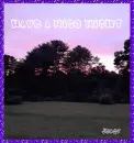 Nice Night