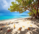 Autumn on the Beach Background