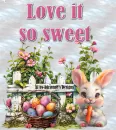 Cute bunny