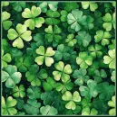 Four Leaf Clover