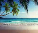 Background - Beach