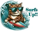 Surfs Up!!