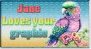 Colorful Parrot
