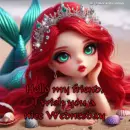 Have a nice wednesday
