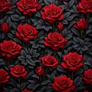 Black red Background