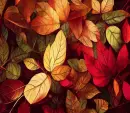 Autumn Background