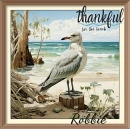 Robbie - thankful for the Beach