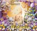 Melanie -Fox tag