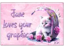 Cute Kitten - Jane 