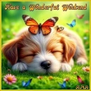 Have a Wonderful Weekend