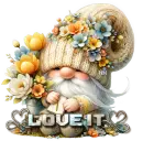 Gnome 