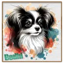 Papillion - Bodhi