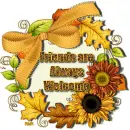 Friends are always Welcome - by Robbie