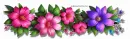 Summer Dividers