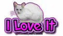 I Love It
