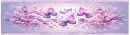 Butterfly border