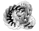 gears