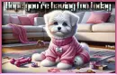 Cute little puppy