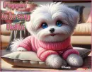 Cute  dog - poppin' in to say hello