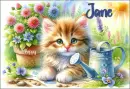 Cute Kitten - Jane 