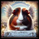 In memory of my guinea pig,,Angel,,