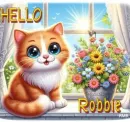 Robbie