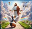 Welcome Angel (Marika)