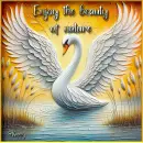 Enjoy the beauty of nature