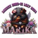 Guinea pig Angel Marika