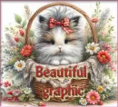 Beautiful graphic