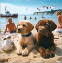 Labradors Two cute Puppies Chilling on the Beach