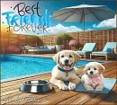 Best Friends Forever