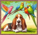 Basset Hound & 2 Parakeets Background