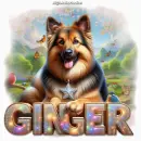 Jane Ginger