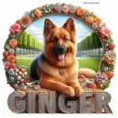 Jane Ginger