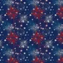Patriotic Fireworks
