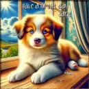 Dog on windowsill - Jane 