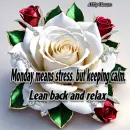 Monday Rose