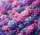 Hydrangeas Background