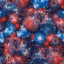 Patriotic Fireworks
