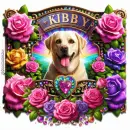 Kibby