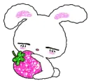 Sleeping Co strawberry