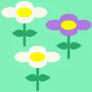 flowers
